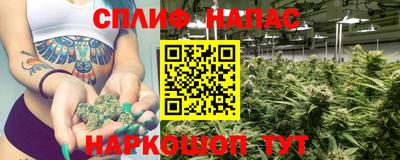 гашик Апрелевка