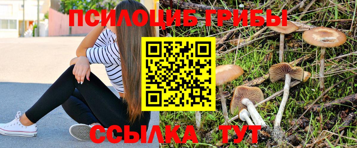 Псилоцибиновые грибы прущие грибы  Галлюциногенные грибы GOLDEN TEACHER  Вход с VPN  Аша 